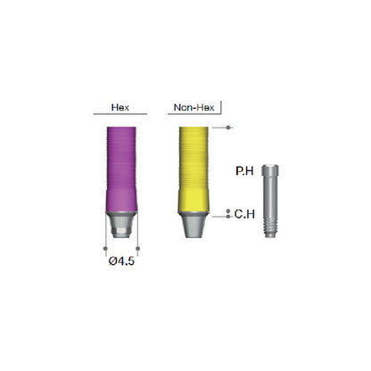 CCM Abutment [AO/ST]