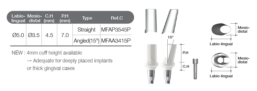 Fuse Abutment [MN]