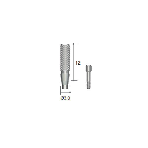 Temporary Abutment [MN]