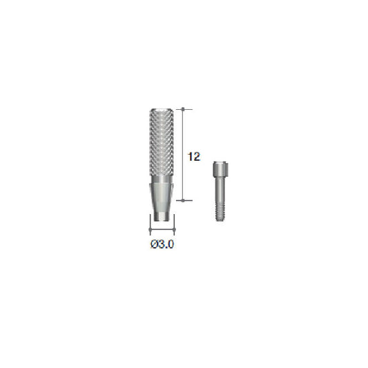 Temporary Abutment [MN]