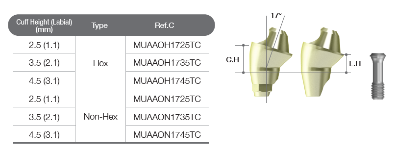 Multi-unit Angled Abutment [AO/ST]