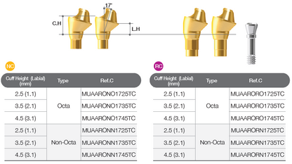 Multi-unit Angled Abutment [BD]