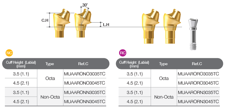 Multi-unit Angled Abutment [BD]