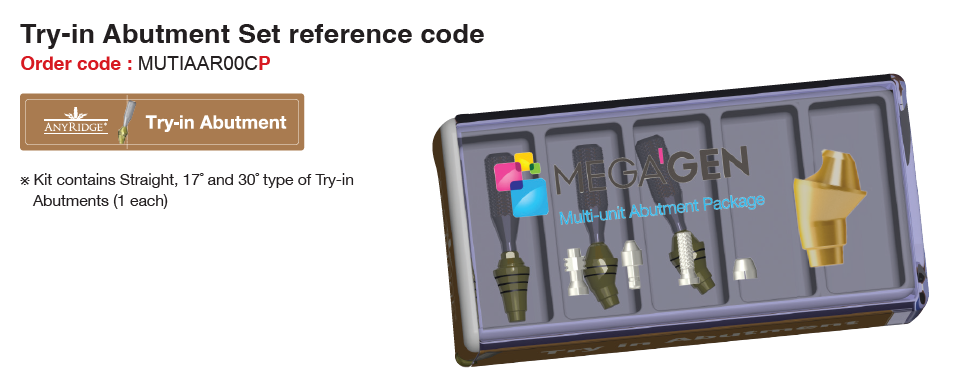 Try-in Abutment [AR]