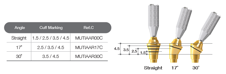 Try-in Abutment [AR]