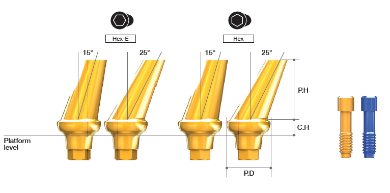 Angled Abutment [AR]