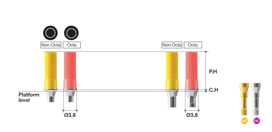 CCM Abutment [BD]