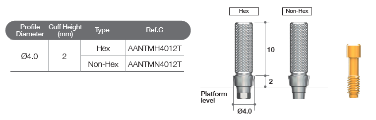 Temporary Abutment [AR]