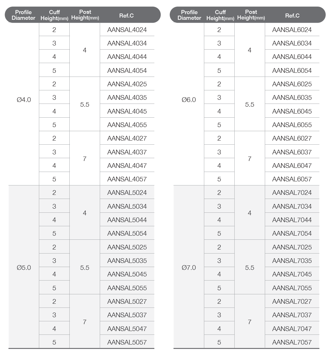 Solid Abutment [AR]