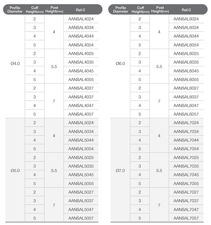 Solid Abutment [AR]