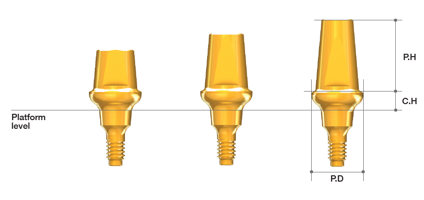 Solid Abutment [AR]