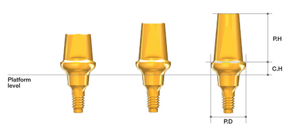 Solid Abutment [AR]