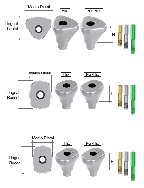 Healing Abutment [AR]