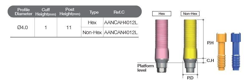 CCM Abutment [AR]