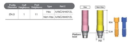 CCM Abutment [AR]