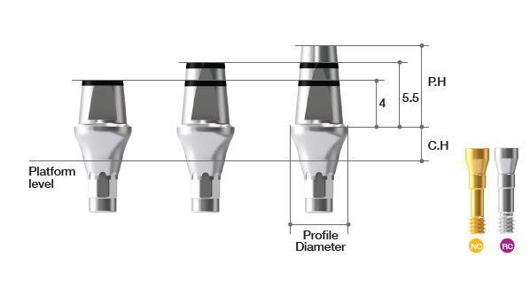 EZ Post Abutment [BD]