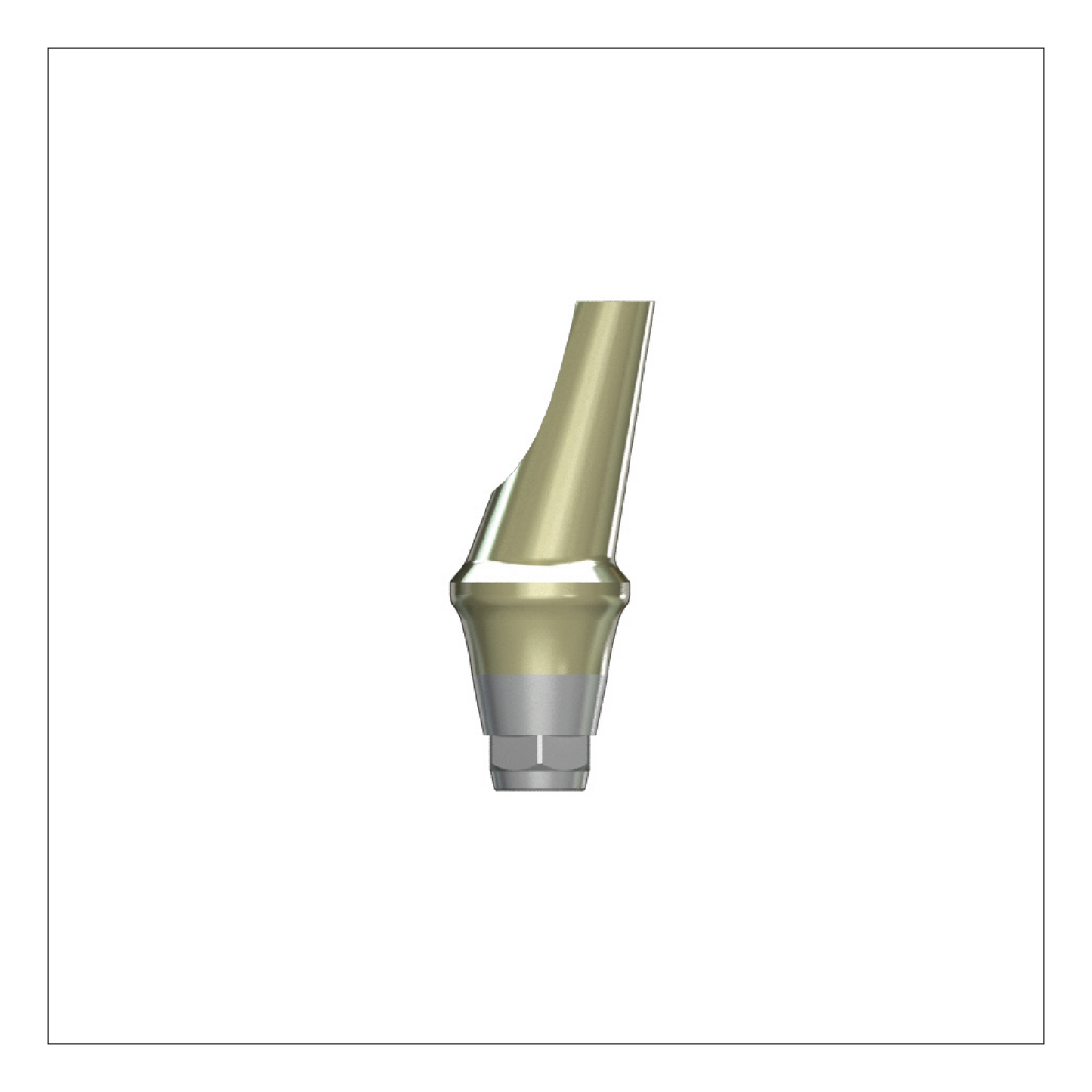 Angled Abutment [AO/ST]