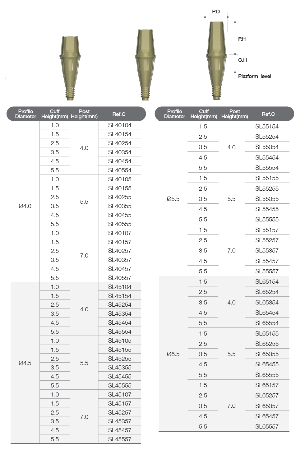 Solid Abutment [AO]