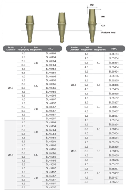 Solid Abutment [AO]