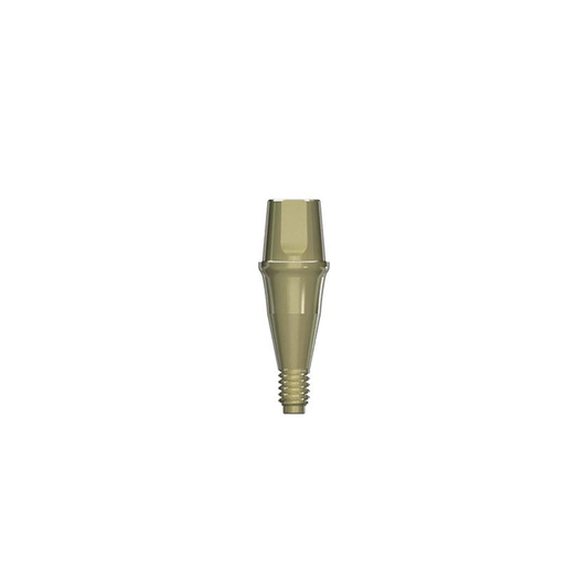 Solid Abutment [AO]