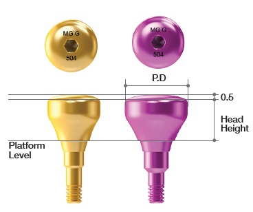 Healing Abutment [BD]