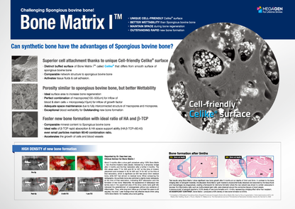 Bone Matrix I