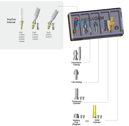 Multi-unit Angled Abutment [AO/ST]